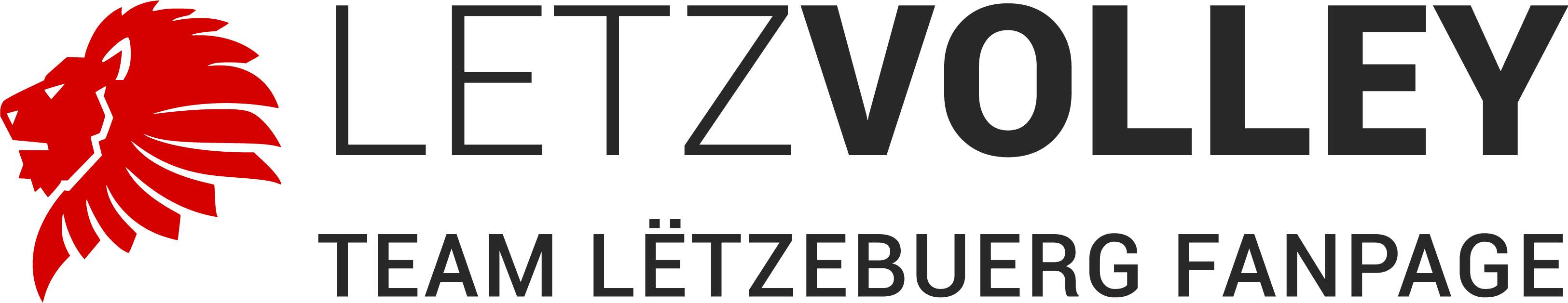 letzvolley logo black